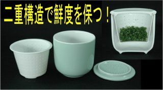 Negi Iki-iki BOX (Green & Yellow)