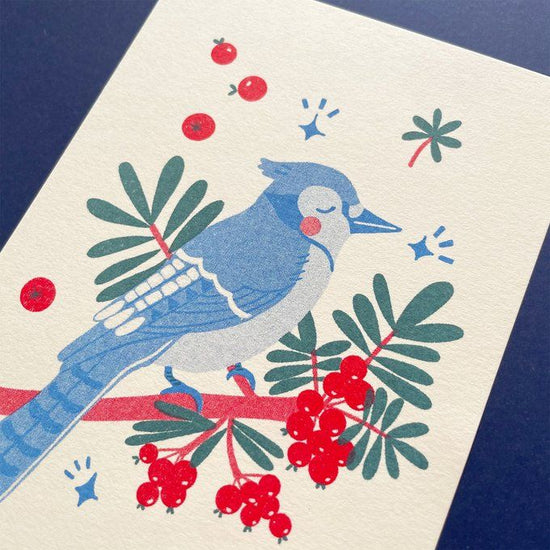 Winter Greeting Card Envelope Set - Blue Bird Blue Jay