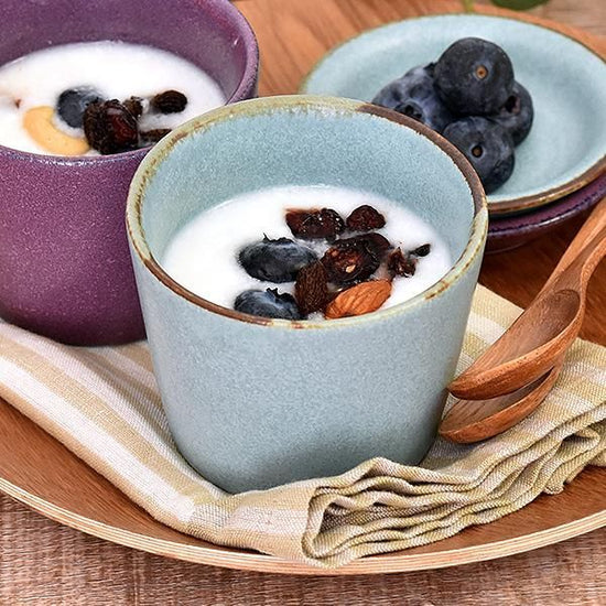 Veggie Color Soda Soba Inokuchi Blue Japanese Tableware Soba Accessories Made in Japan Minoyaki Sake Stylish Modern