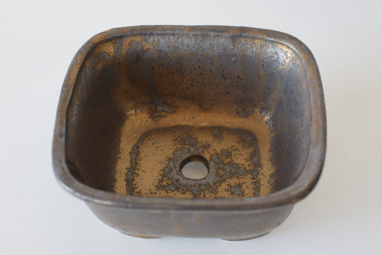 Mini Bonsai Pot