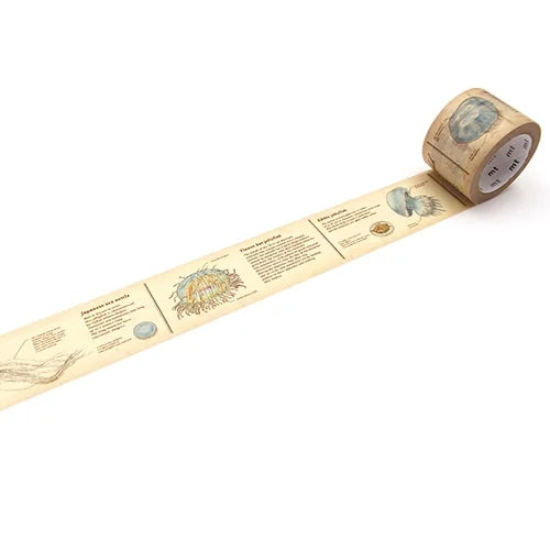mt Masking Tape ex – Encyclopedia Jellyfish, 30mm×7m