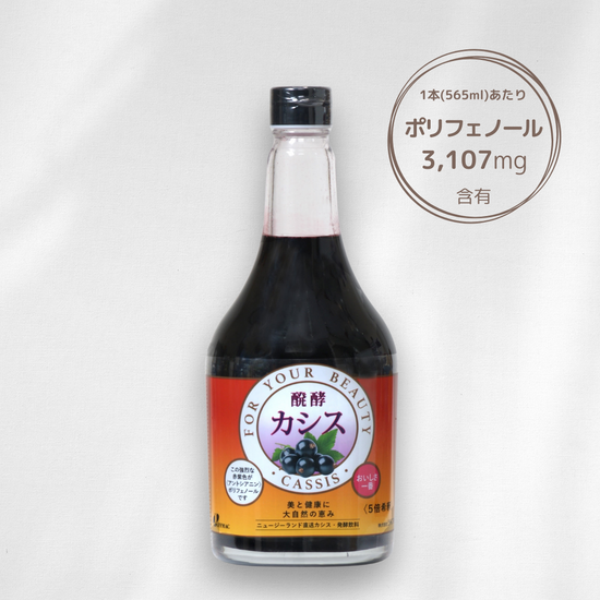 Fermented blackcurrant (beverage/5x dilution) 565ml