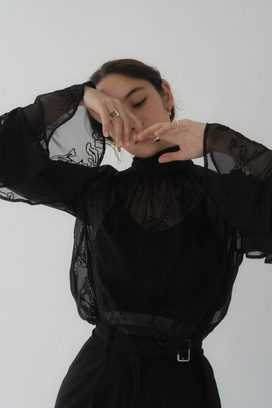 Embroidery Sheer Blouse/Black