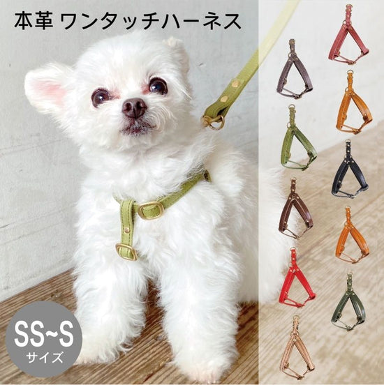 Harness for pets (S-SS) Tochigi leather, mostro leather, gouge