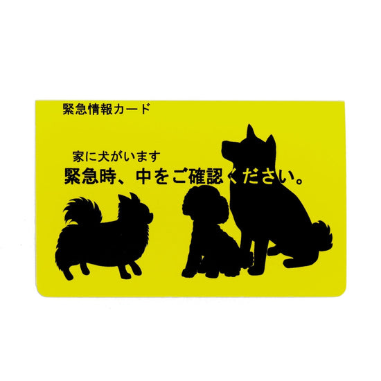 There is a dog in the house Emergency Information Card, credit card size, pack of 1