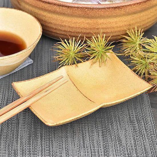 Two small tea dividers, brown Japanese tableware, divider plate, made in Japan, Minoyaki, stylish, modern