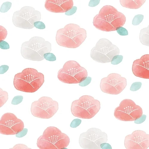 Furukawa Shiko Boxed Mino Washi Origami – Design E