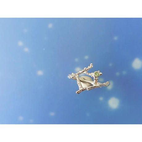 Aiming for that star, the ring.