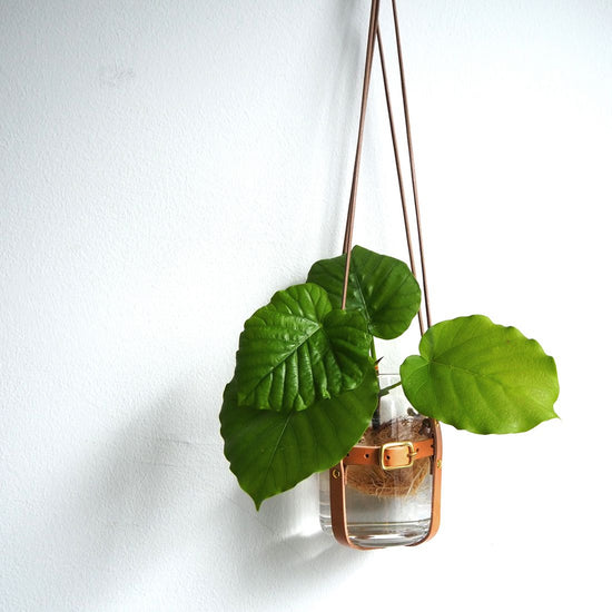 Wax Cord Plant Hanger in Oil Leather Beige Adjustable Size for Mounting Pots