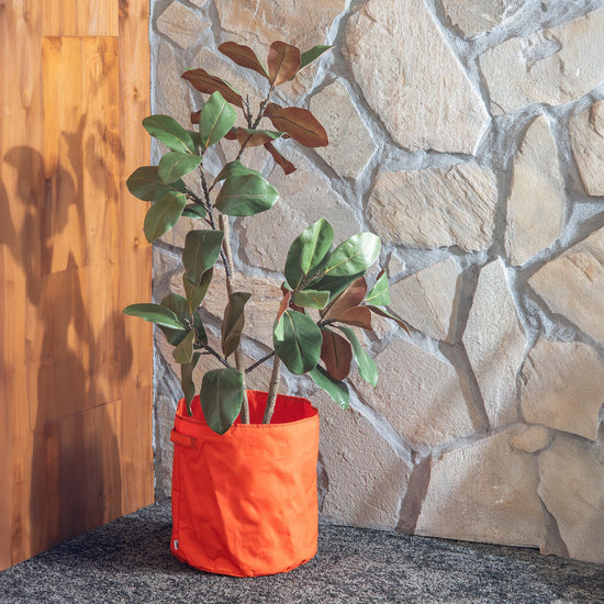 53451 [PLUS THE GREEN] pot cover yellow