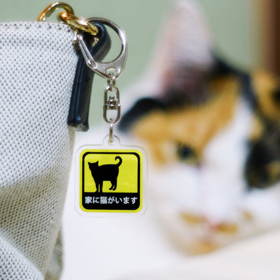 There is a cat in the house acrylic key ring