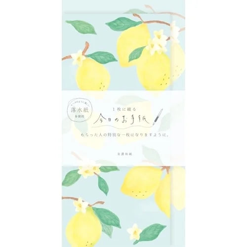 Furukawa Shiko Today&