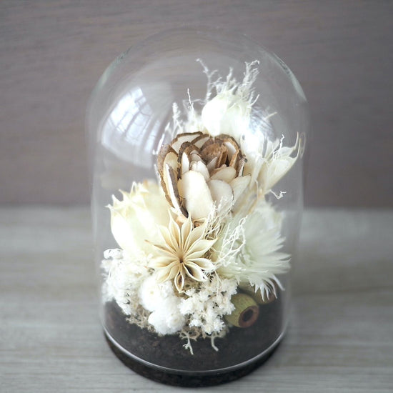 Interior glass dome that can be used as an offering flower -natural white-.