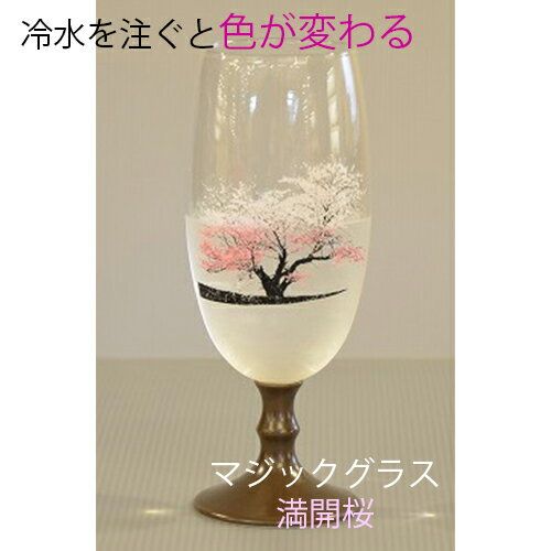 [Cold beer glass (cherry blossom in full bloom)