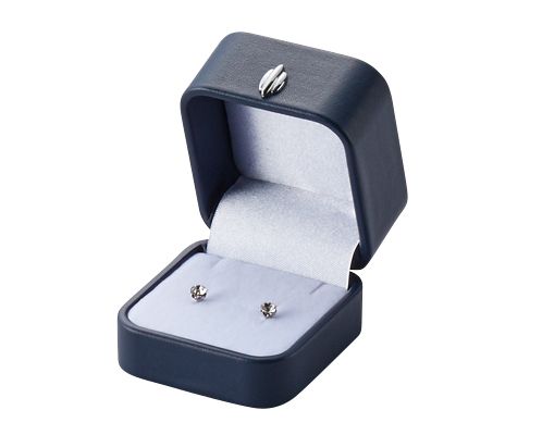 Case for Pierced earrings, rings and necklaces, NEWTOTAL series, 12 pieces, AR-REP363YL