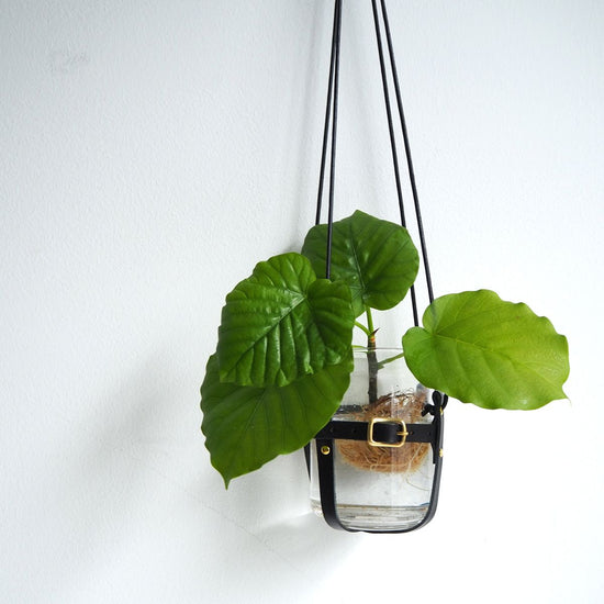 Wax Cord Plant Hanger in Oil Leather Black Adjustable Size for Mounting Pots