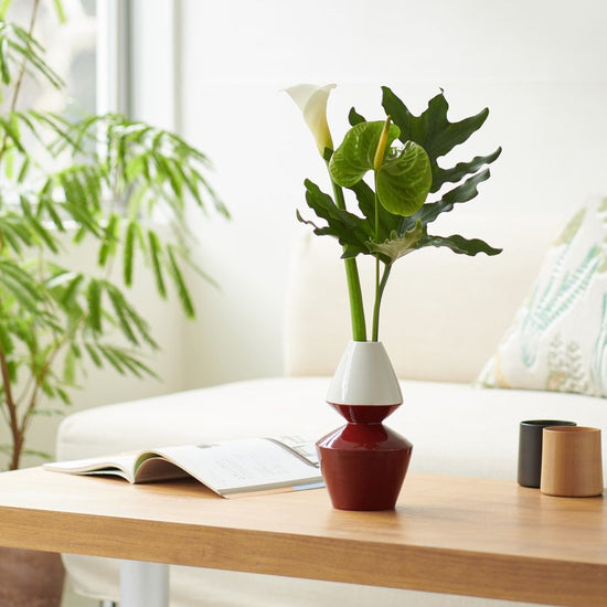 이치린 L사이즈