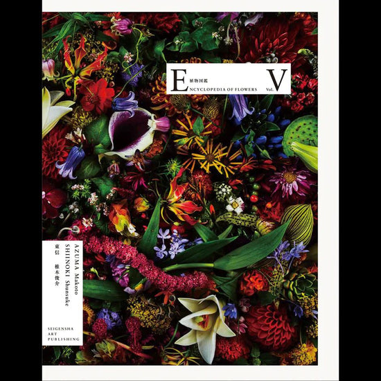 Encyclopedia of Flowers Botanical Illustrations V