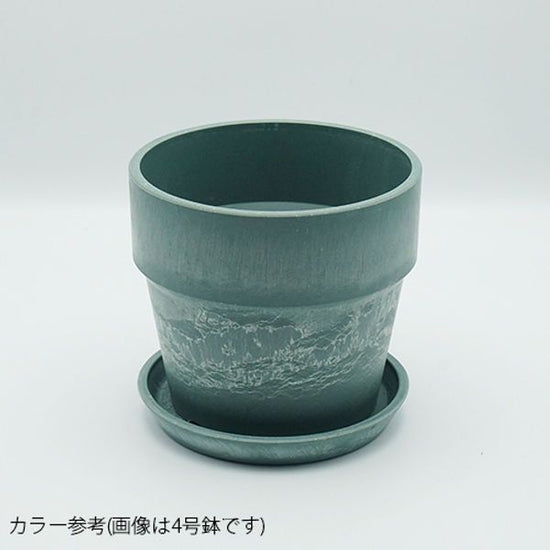 81103 [PLUS THE GREEN] Urban plant pot kale