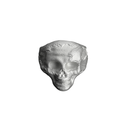 Grunge Ring _ Skull