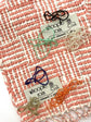 100% Organic cotton handwoven scarf _ WALL / peach ♭122