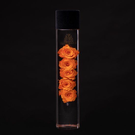 FLOWERiUM Eternal Rose <orange>.