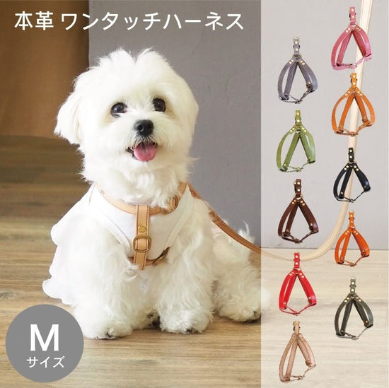 Harness for pets (M), Tochigi leather, Mostro leather, gouge