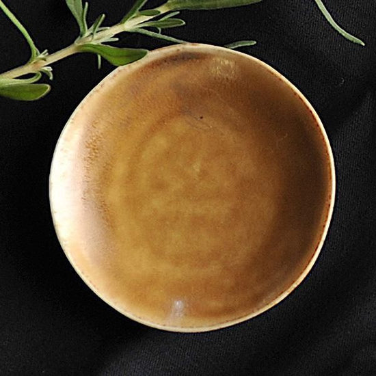 Cuisine Caramel bean dish, Western tableware, small dish, made in Japan, Minoyaki, business use, stylish, modern