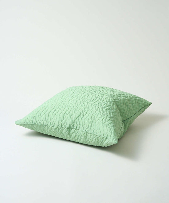 Cushion cover / green matrasse / L
