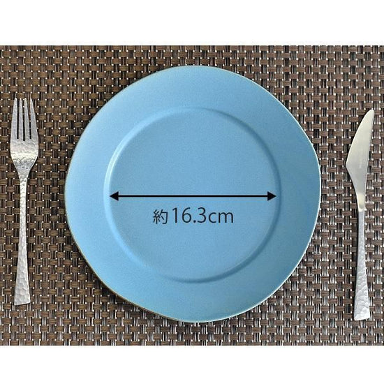 Wide Rim Turkey 24cm Round Dish, Blue Type, Western Tableware, Modified Plate, Made in Japan, Minoyaki, Cafe Style, Stylish, Modern