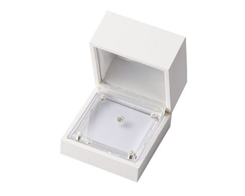 Box with Loose Case with Acrylic Loose Case Propose in units of 6 AR-L326