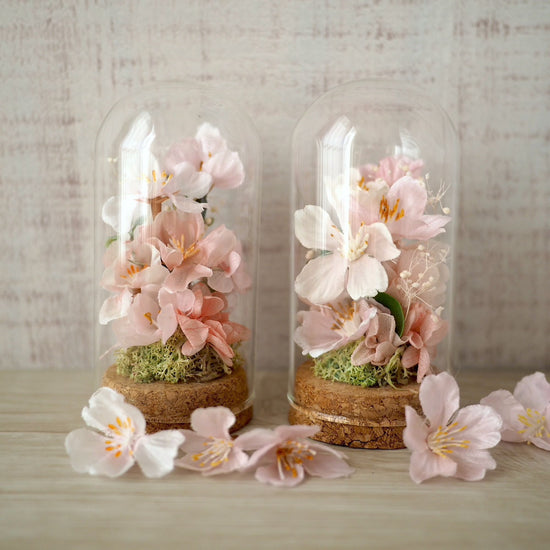 Cherry blossom viewing in a glass dome, Sakura (S)