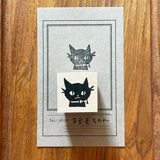 Rubber Stamp- Siblings cats that not look alike