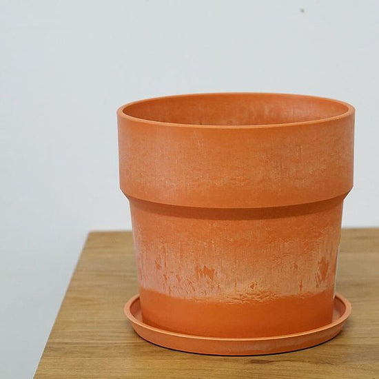 81038 [PLUS THE GREEN] Urban Plant Pot Carrot