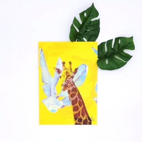 Wild African Art Print (unframed) Radiant Giraffe