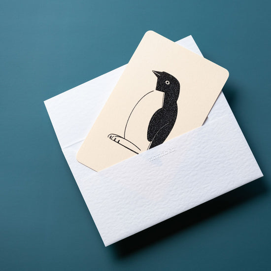 Home Series: Penguin