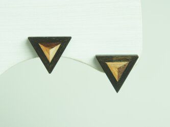 FOSSIL SERIES Triangle Pierced Earrings
