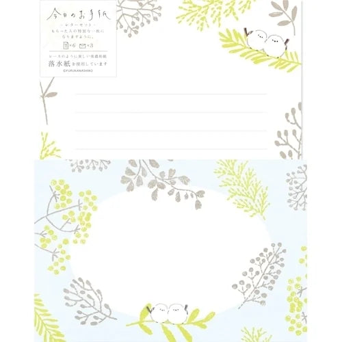 Furukawa Shiko Today&