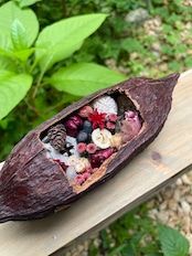 Cacao ship Dongburi in a cacao boat