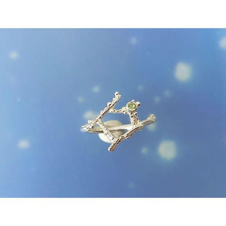 Aiming for that star, the ring.