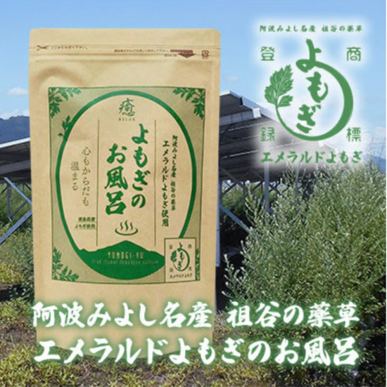 Pesticide-free & hand-picked emerald yomogi (mugwort)  bath