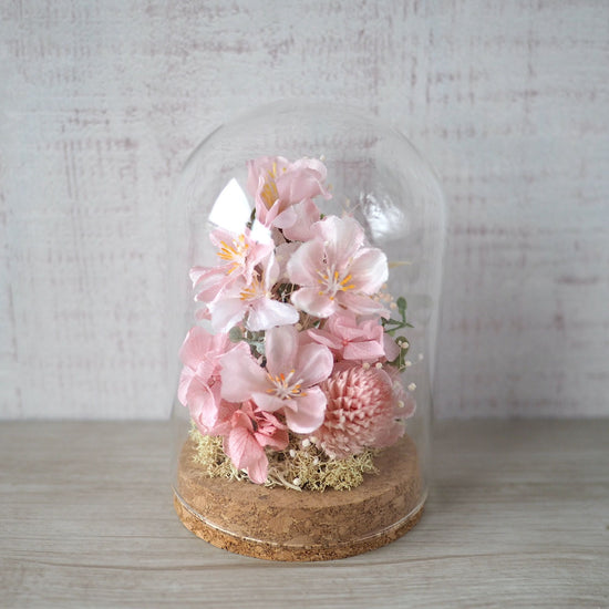 Cherry blossom viewing in a glass dome (cherry blossoms)