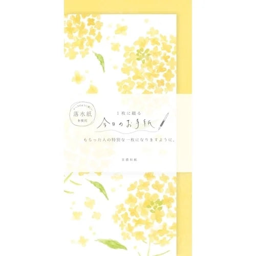Furukawa Shiko Today&