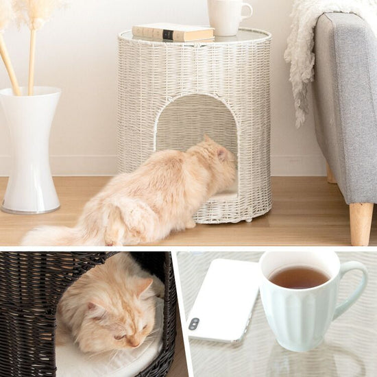 Pienet cat crib