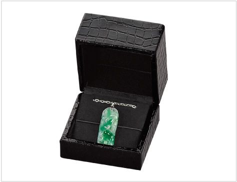 Clip-on earrings and pendant case, croc style case, gothic collection, 6 pieces EP-901