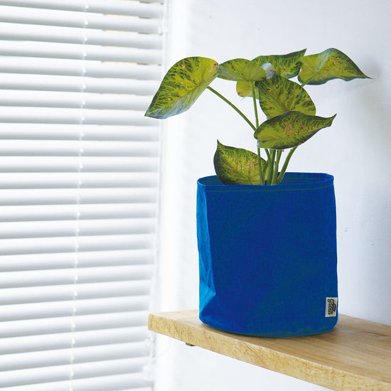 53448 [PLUS THE GREEN] pot cover green