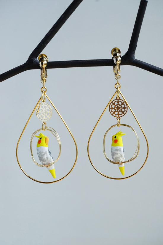 Ring-Riding Cockatiel (Pied) Pierced earrings and clip-on earrings with Encircling Accessory