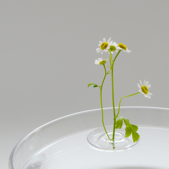 Floating Vase / RIPPLE