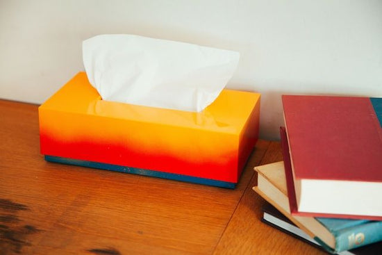 iroikoi tissue box, late summer