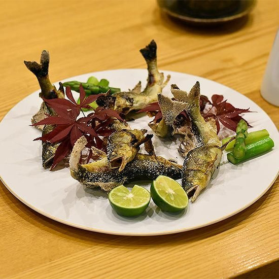 Fuchi Kin Bisque Mat 24cm Round Plate White Japanese Tableware Round Medium Plate Made in Japan Minoyaki, Stylish, Modern